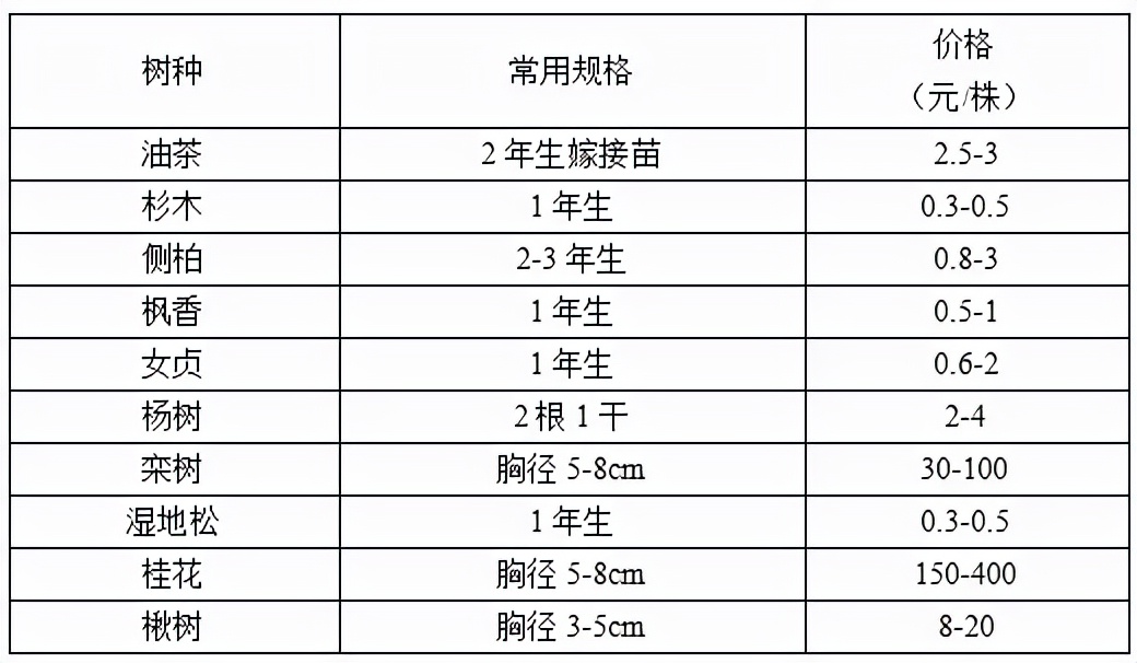 苗木市场前景预测2017,2023年下半年苗木价格报告