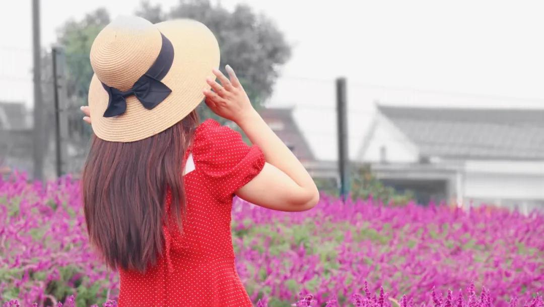 浦口最炫花海景点,浦口的花海