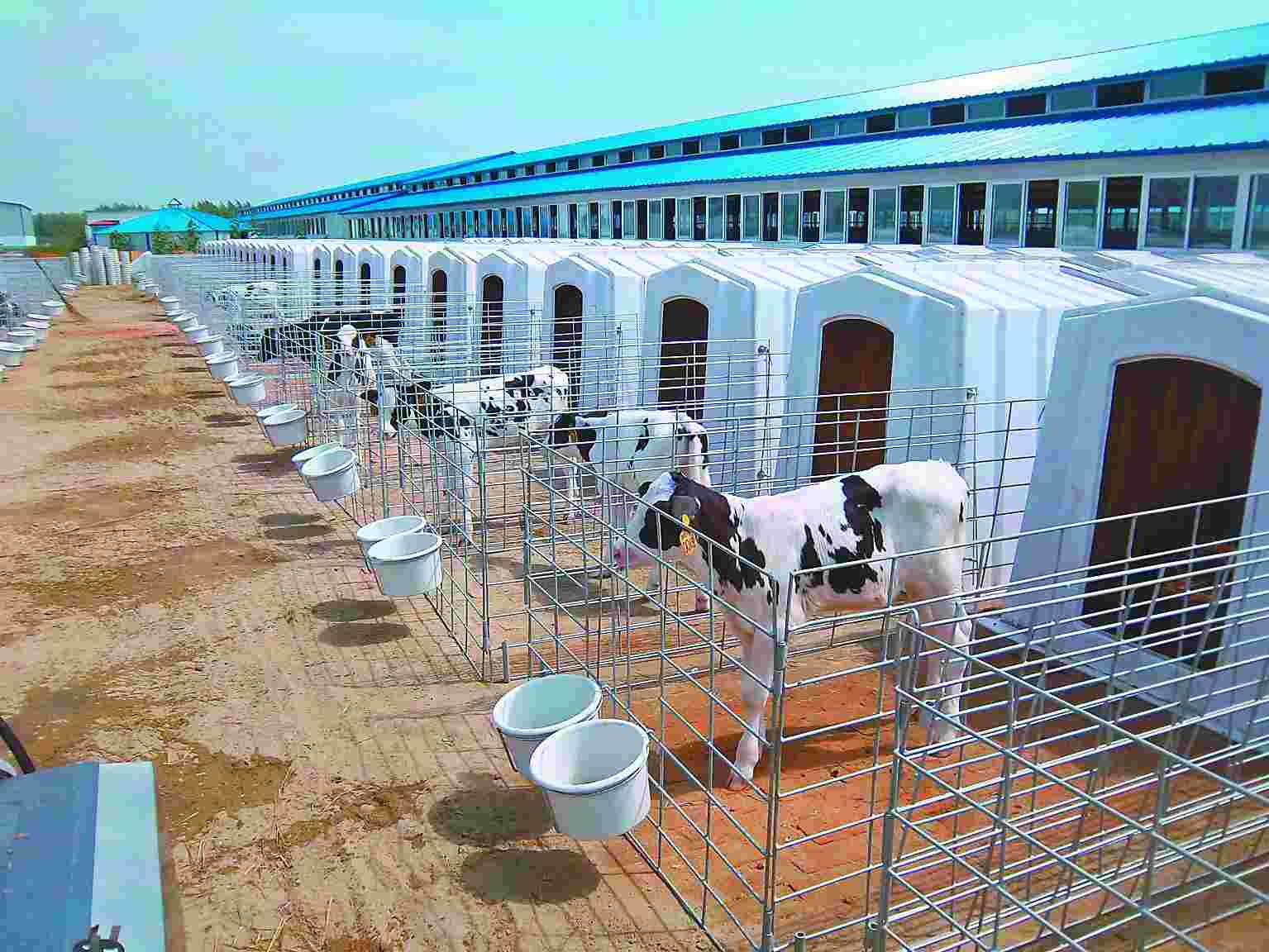 农民工创业哪些行业最好,农民工创业做什么项目好