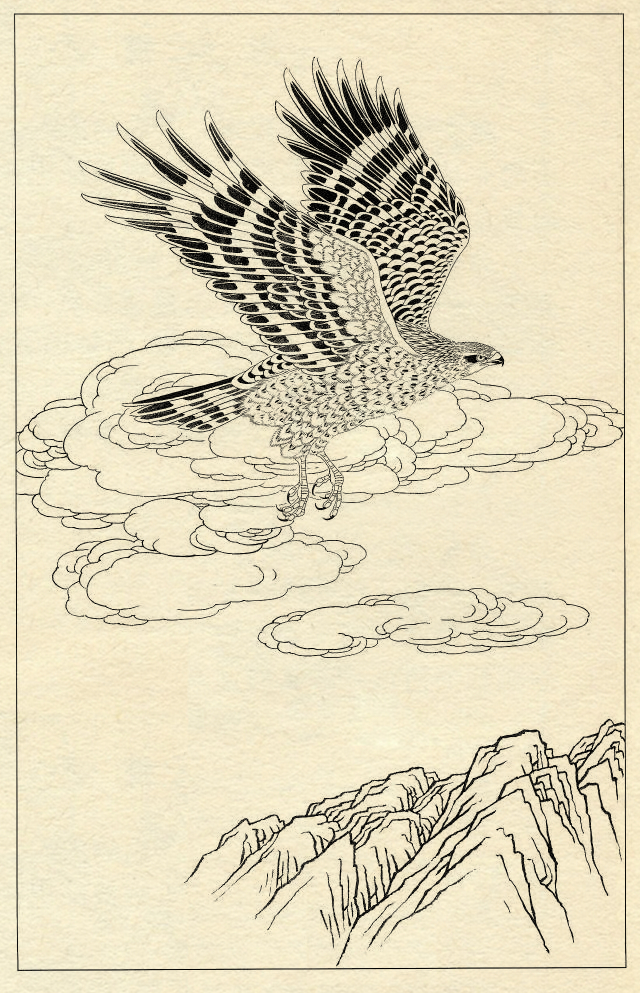 白描鹰技法基础入门,工笔画素材白描鹰图漂亮