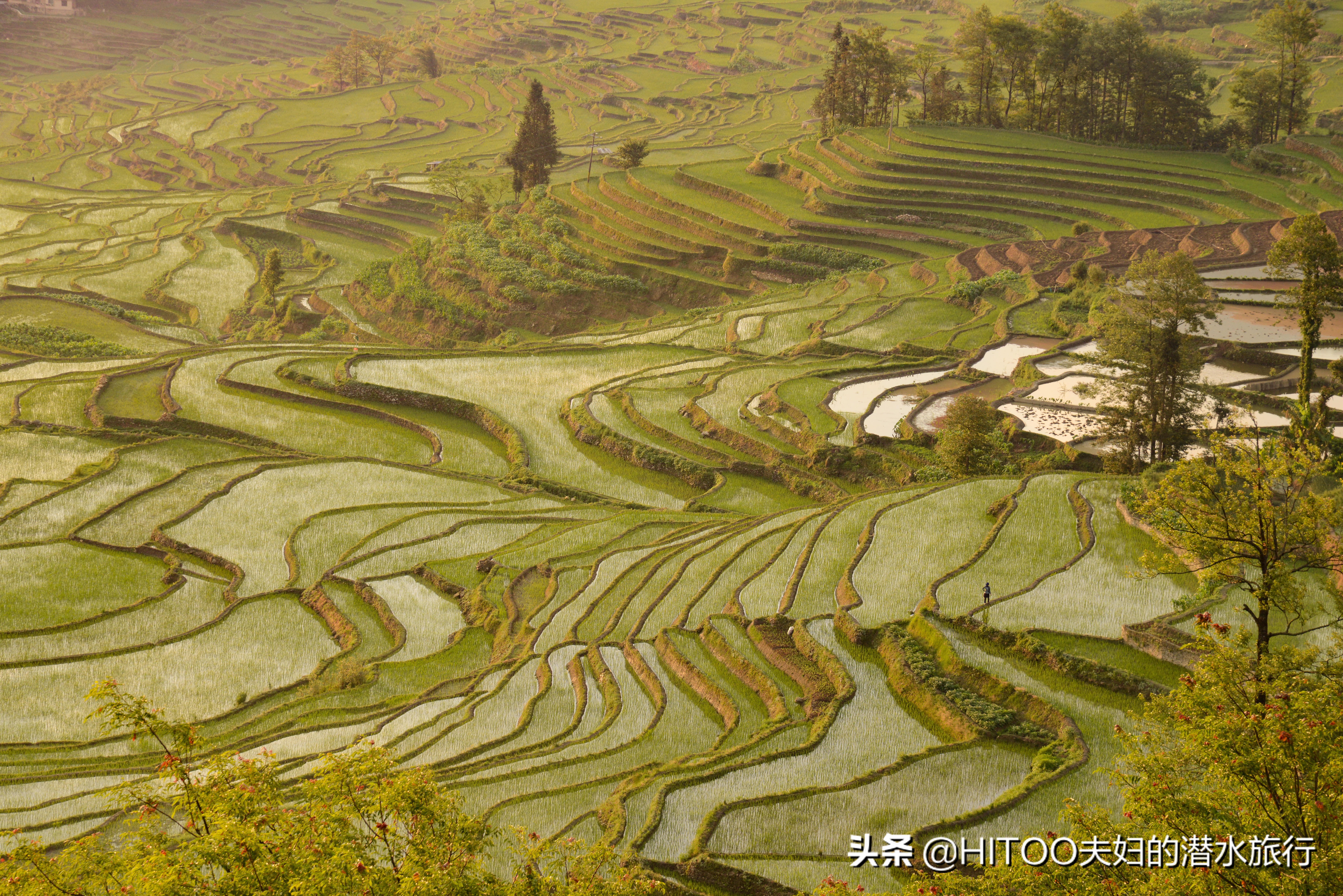 自驾元阳梯田旅游攻略时间,元阳梯田自驾游玩攻略路线