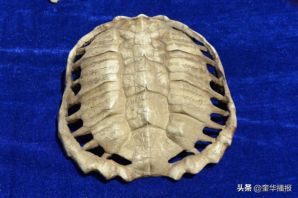 甲骨文特色学校,甲骨文特色小学