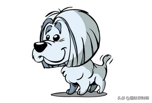 李居明2018年十二生肖运程视频,香港风水师李居明2018年牛运程