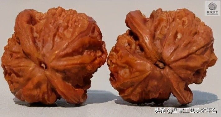 核桃珍稀品类排名,核桃极品色