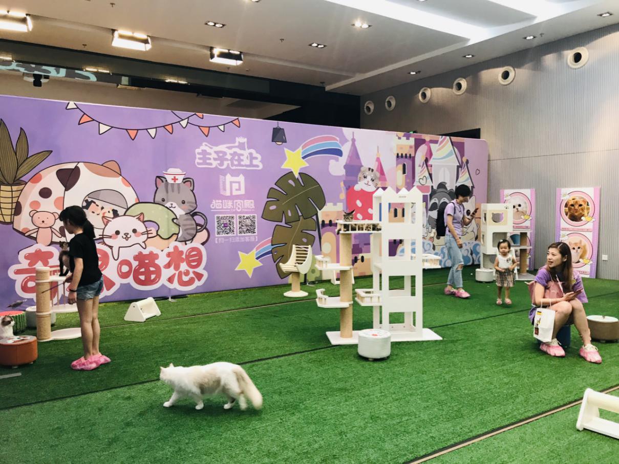 宠爱嘉年华小视频,宠爱嘉年华