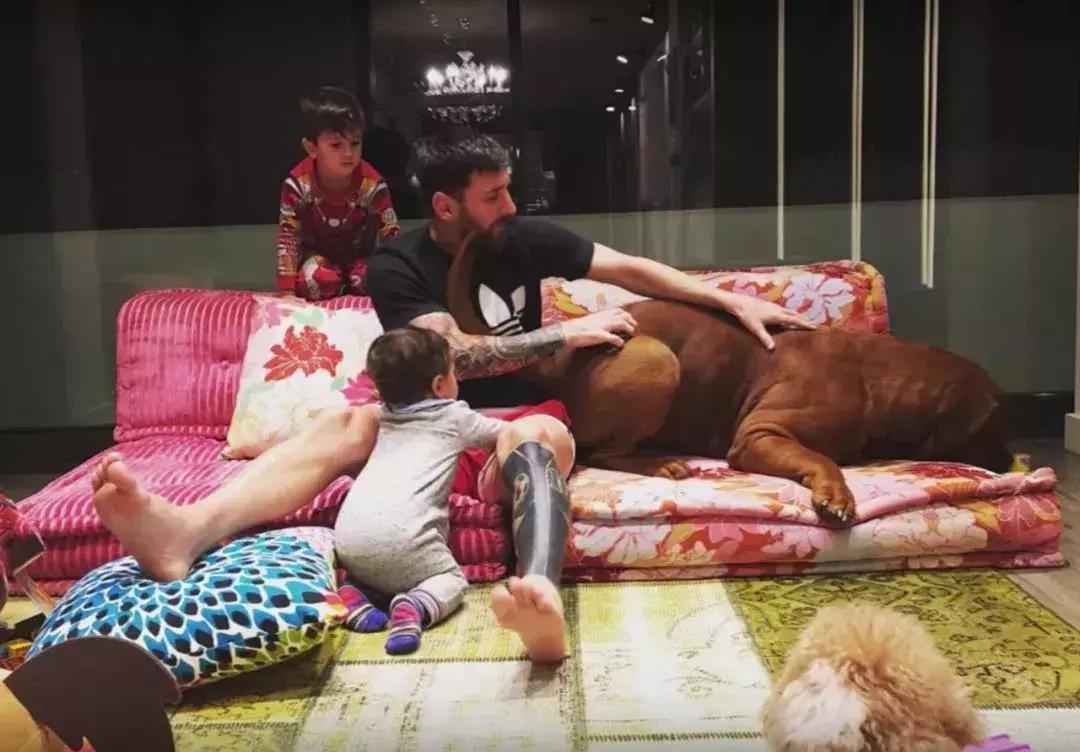 内马尔c罗梅西一家,内马尔小贝c罗帅气