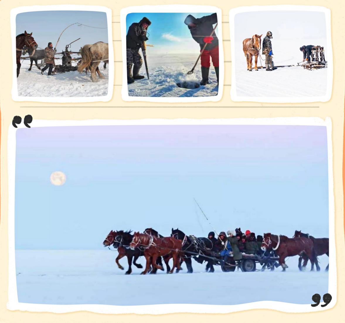 东北全鱼宴 (东北最正宗的全鱼宴)