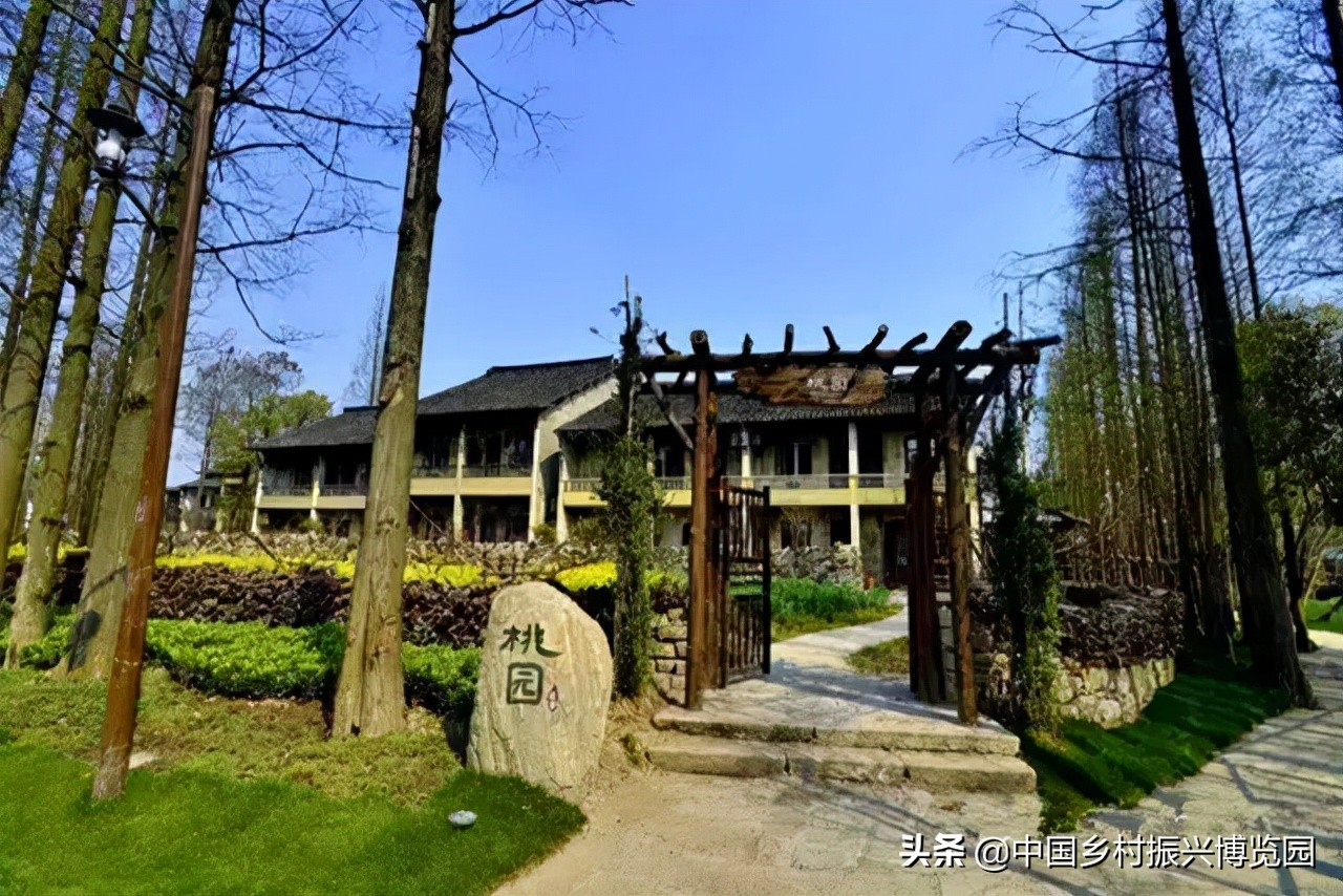 乡村振兴案例2021,乡村振兴案例2022