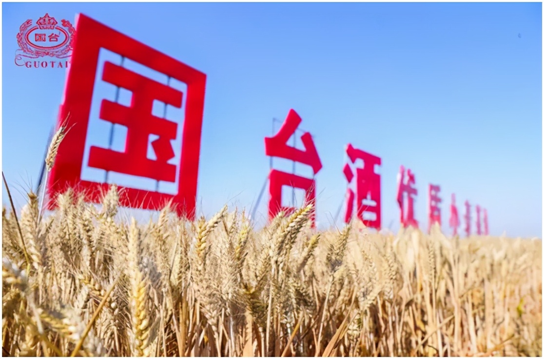 国台凭何领航商业生态?以“聚-合-通””缔结共享共赢的价值纽带