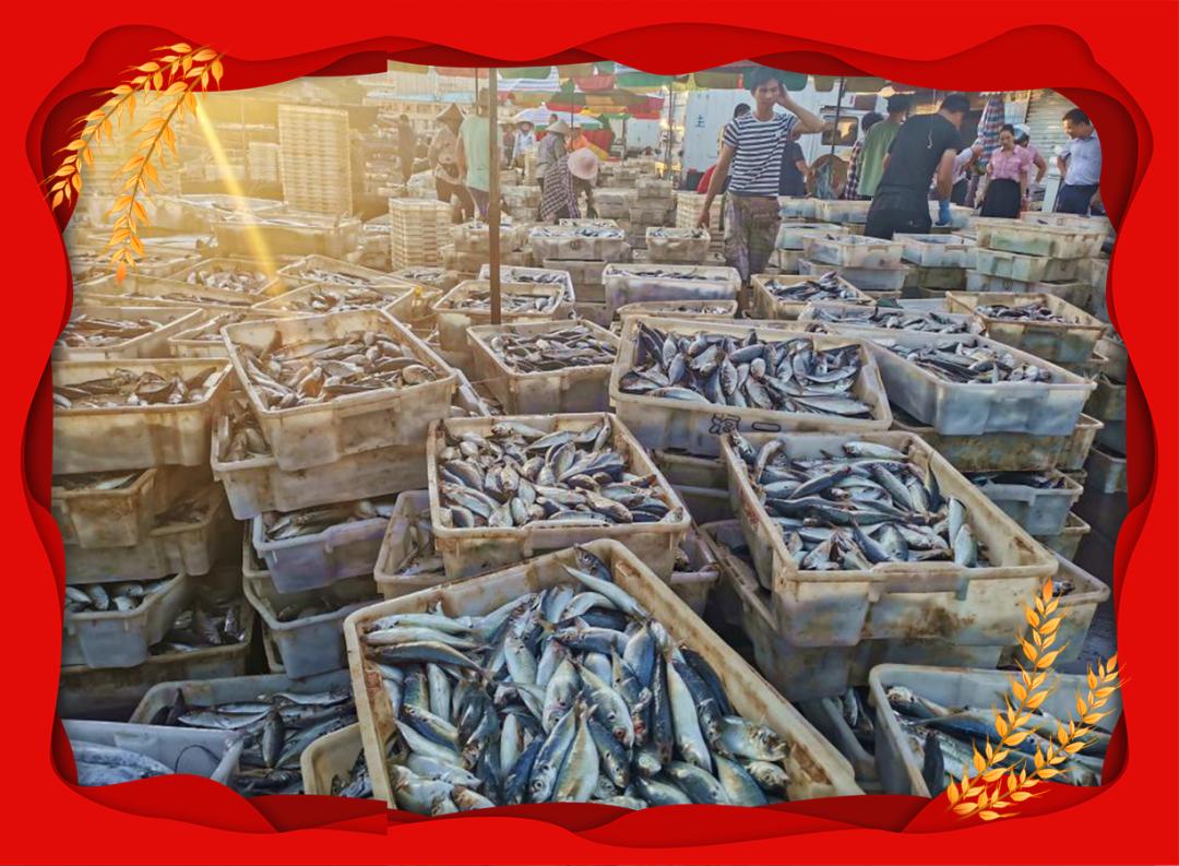 农村要六畜兴旺,六畜兴旺的图片