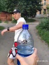 甄子丹赵文卓明星战队,瓶盖挑战火了