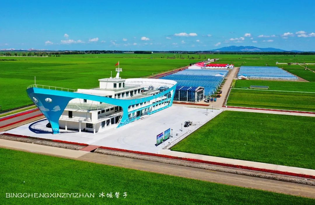 再返富锦，为着那份飘着稻花香的“湿”意约定