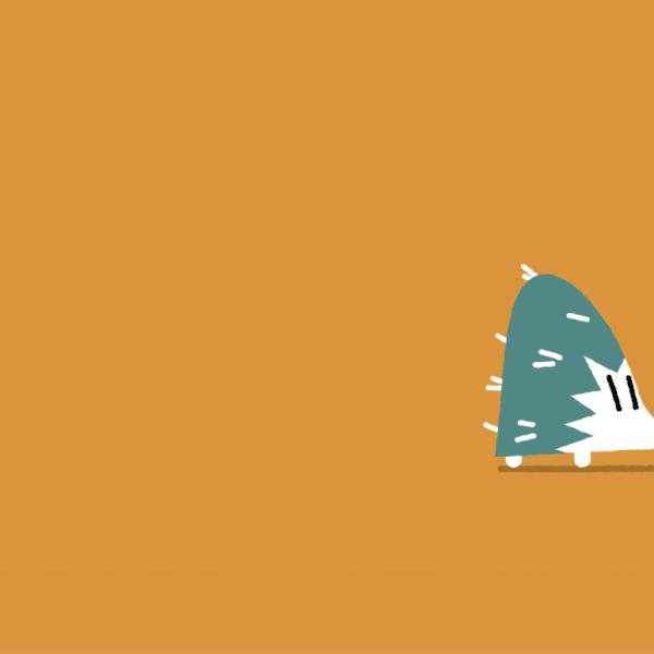 动物的英文词汇汇总,你最喜欢哪种动物?