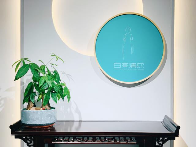 白茶清欢邀明月,白茶清欢无妄生欢