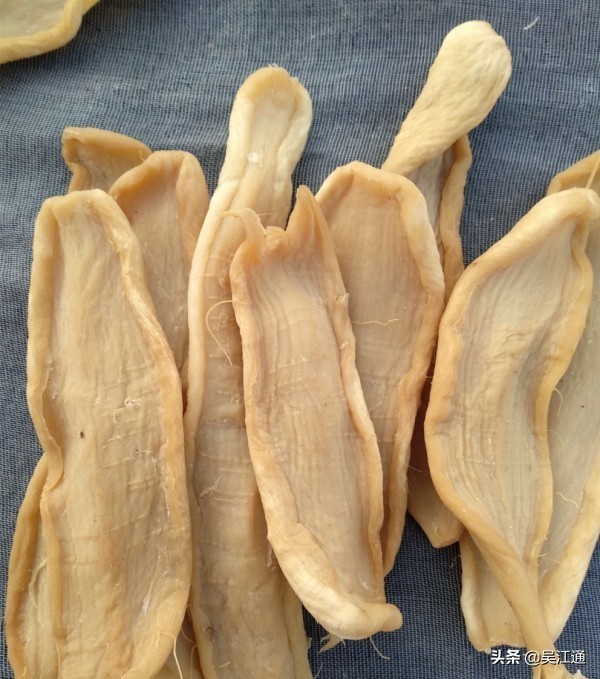 盛泽的同学们,还记得那个赤鼻子老师吗?