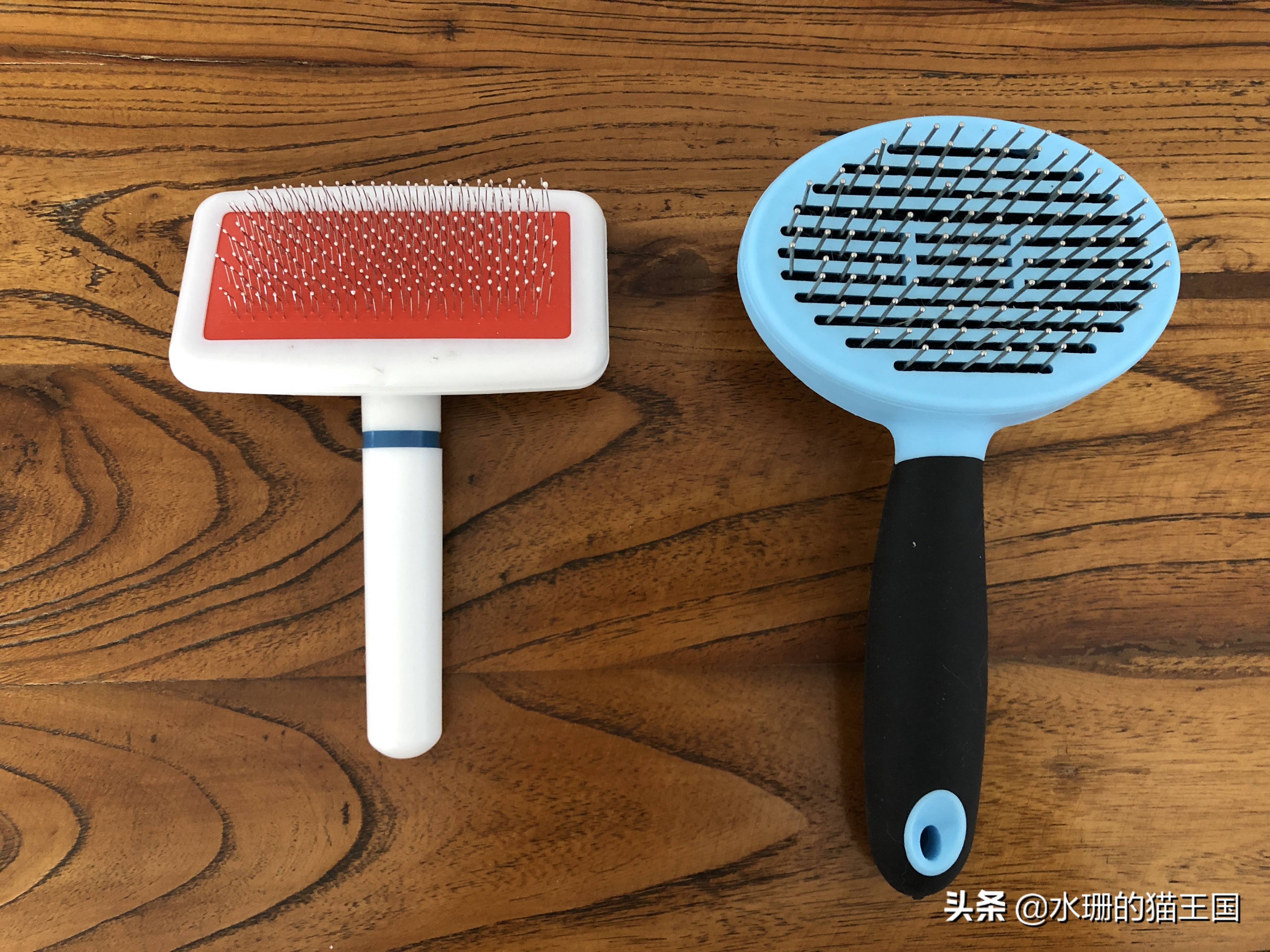 哪款梳子梳猫毛最好用,猫梳子推荐排行榜