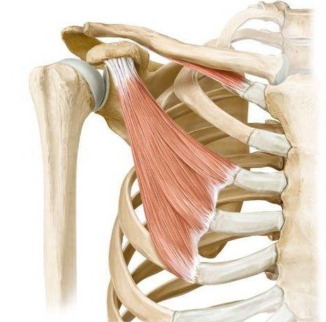 瑜伽练了一个星期越来越累,练习瑜伽手臂越来越粗怎么回事