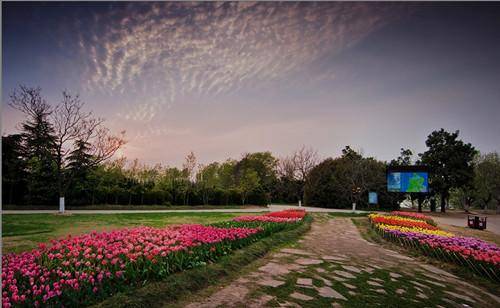 合肥春节免费门票景点,合肥哪些景点过年不要门票