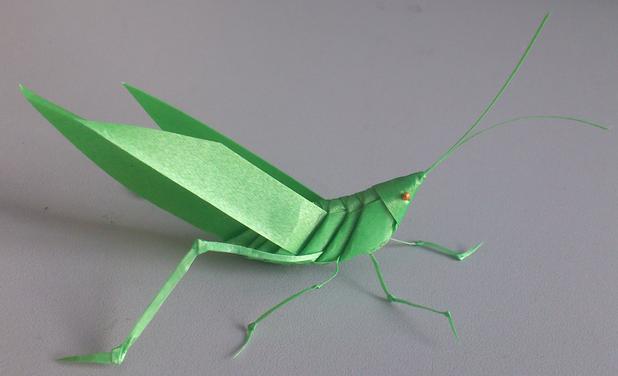 蚂蚱的编织过程图片,蚂蚱的制作方法