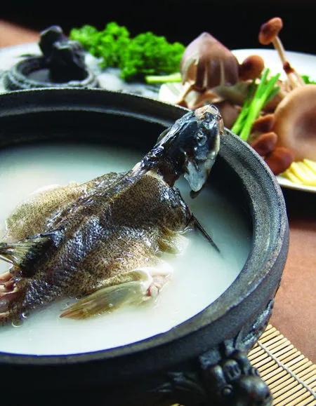 公认最好吃的10种淡水鱼,公认好吃淡水鱼有哪些种类