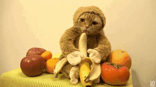 是神药还是“萝卜”？活跃在朋友圈的玛卡，玩弄了多少男人的心？