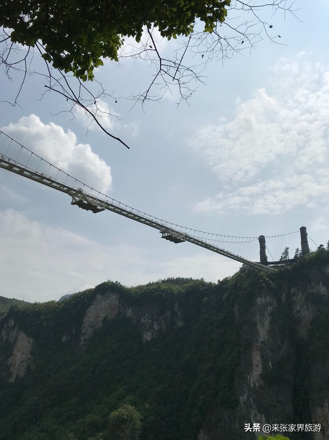 张家界玻璃桥天门山凤凰四日游,天门山到凤凰古城攻略