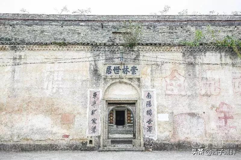 惠州镇隆荔枝什么品种,惠州镇隆自摘荔枝在哪