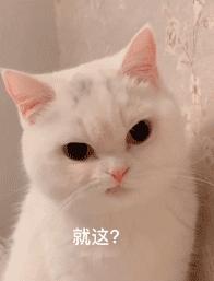 秋冬新款上新卫衣穿搭,今秋更流行卫衣裙