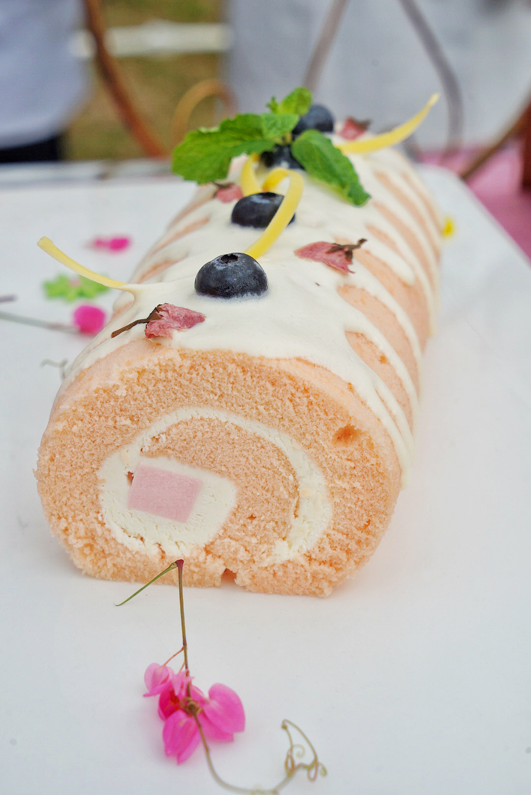 广州粉色浪漫花海,广东秋天粉色花海