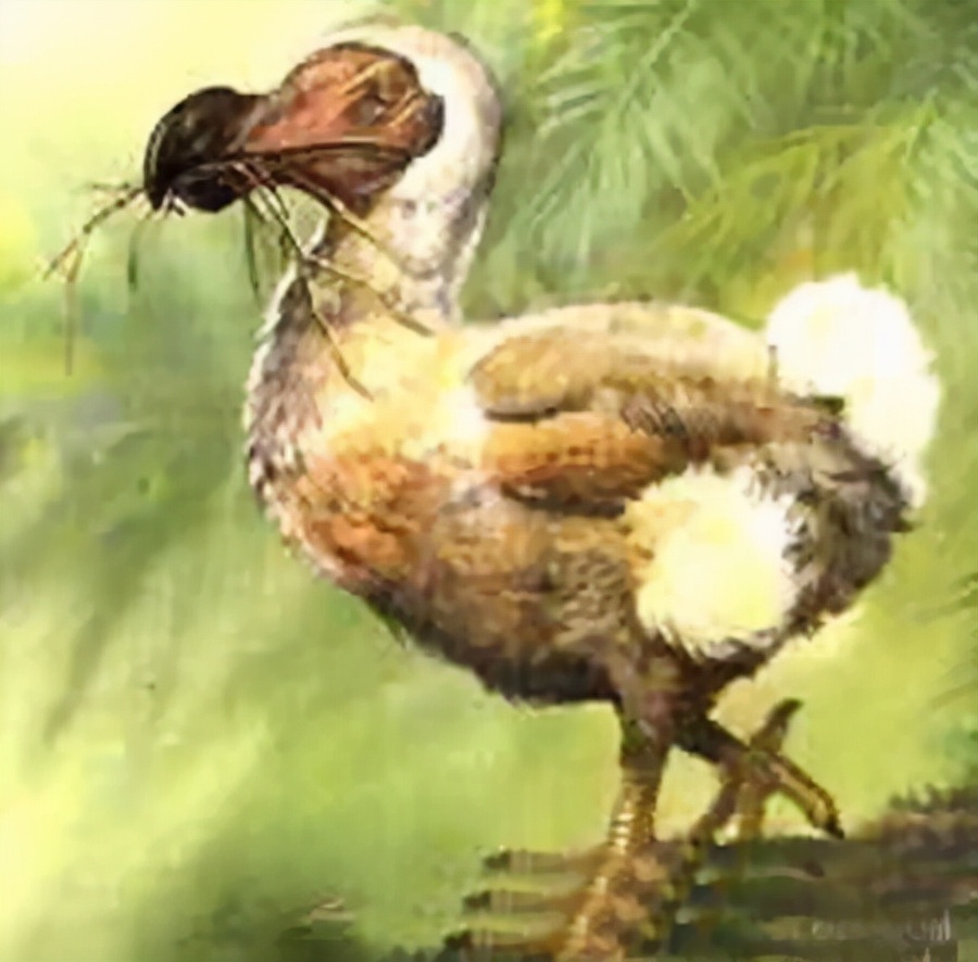 被西方殖民者杀到灭绝的动物,欧洲殖民者灭绝的动物