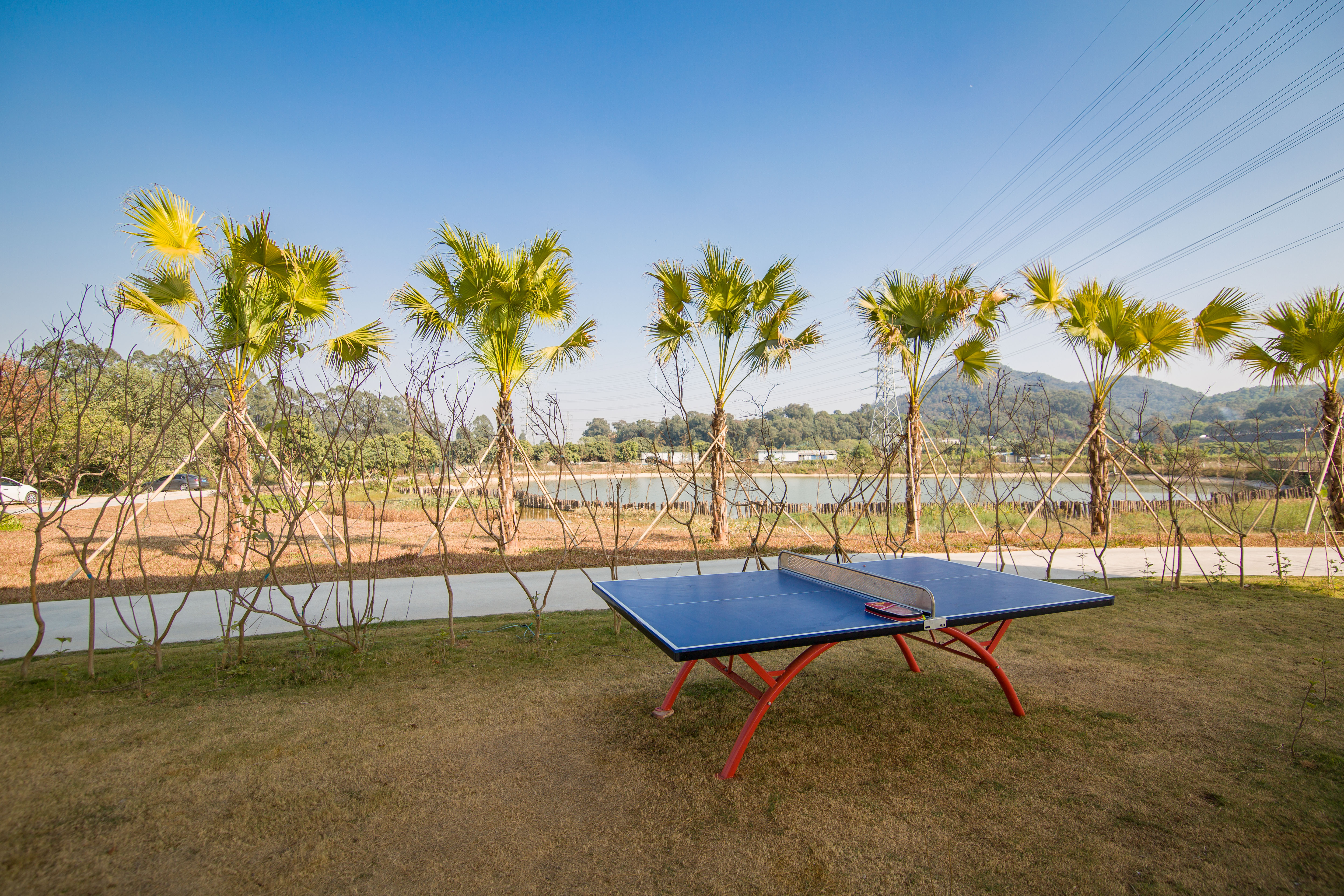 种草种草！东莞市区内竟然隐藏了天空之境