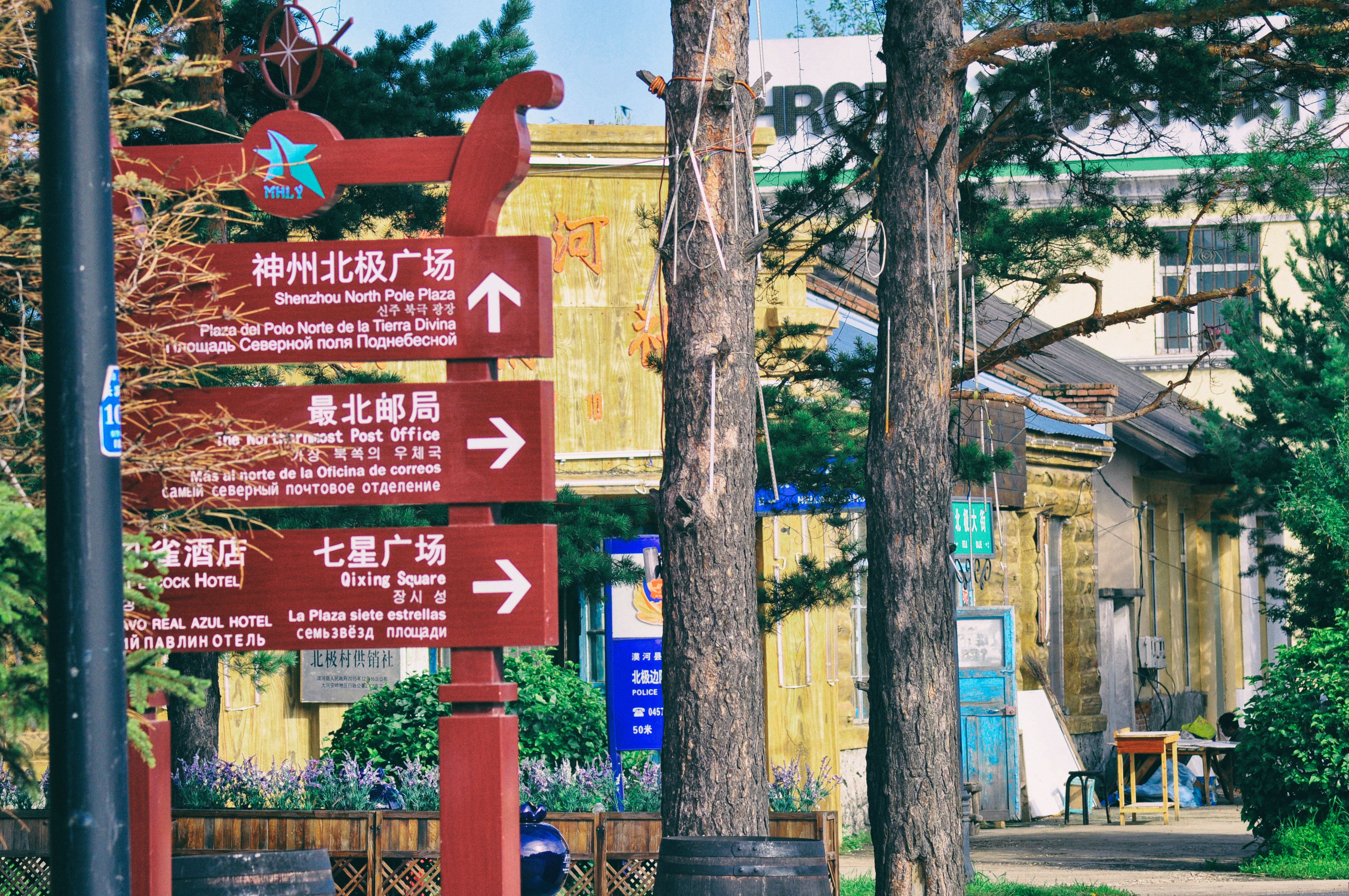 南方人自驾来东北是啥体验,15天一万公里的新疆感受