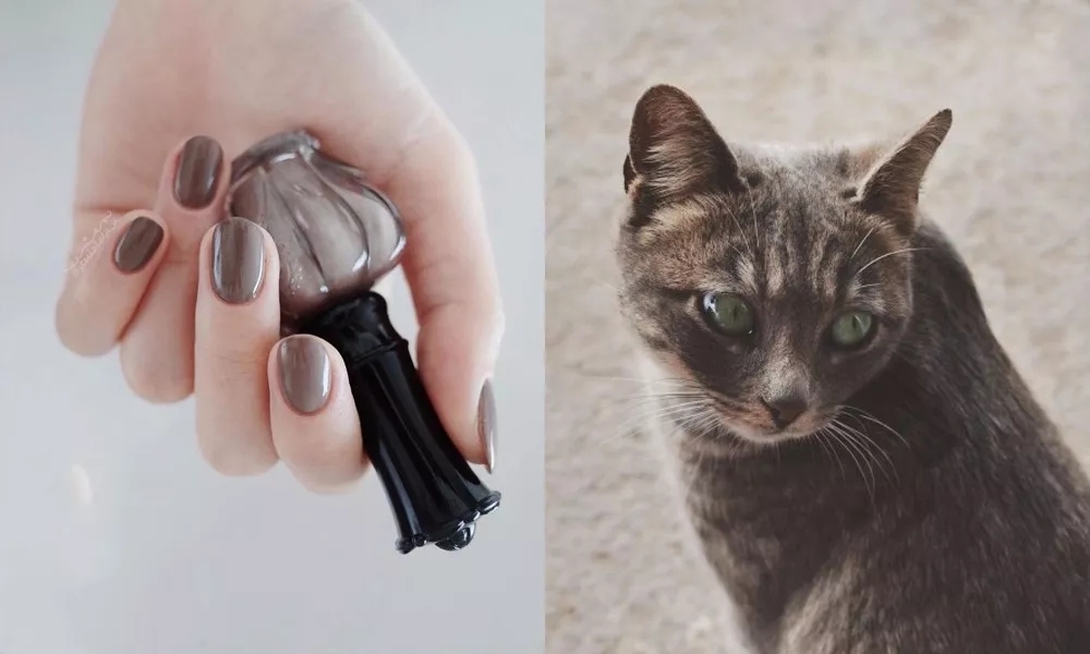 漂亮的仙女美甲推荐,甲片美甲款式网红仙女款