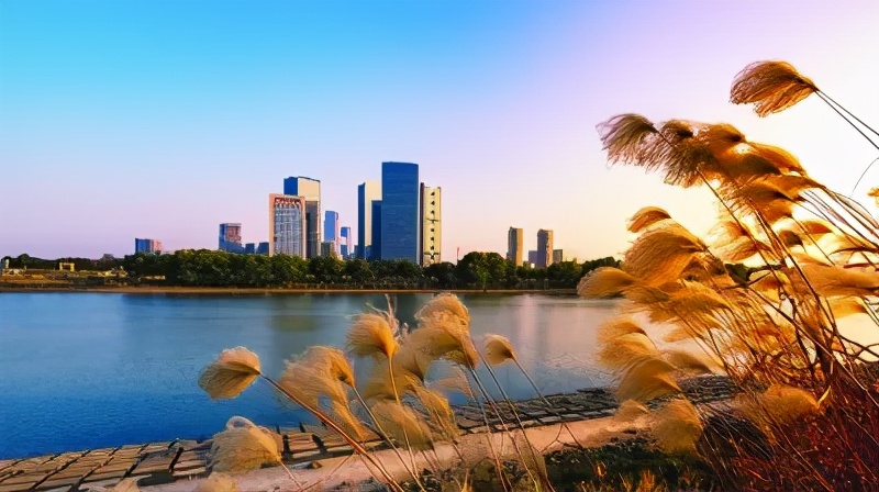 环境日报道,环境保护日主题2024