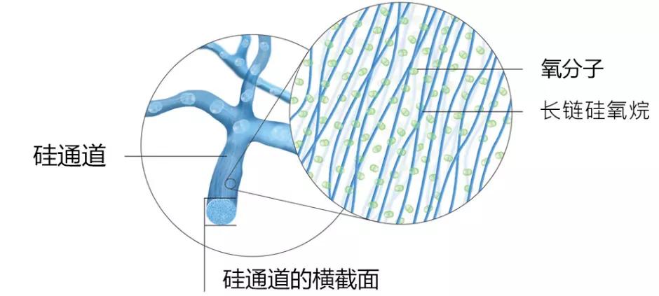 视力保健创新产品有限公司,视力保健项目的产品研发