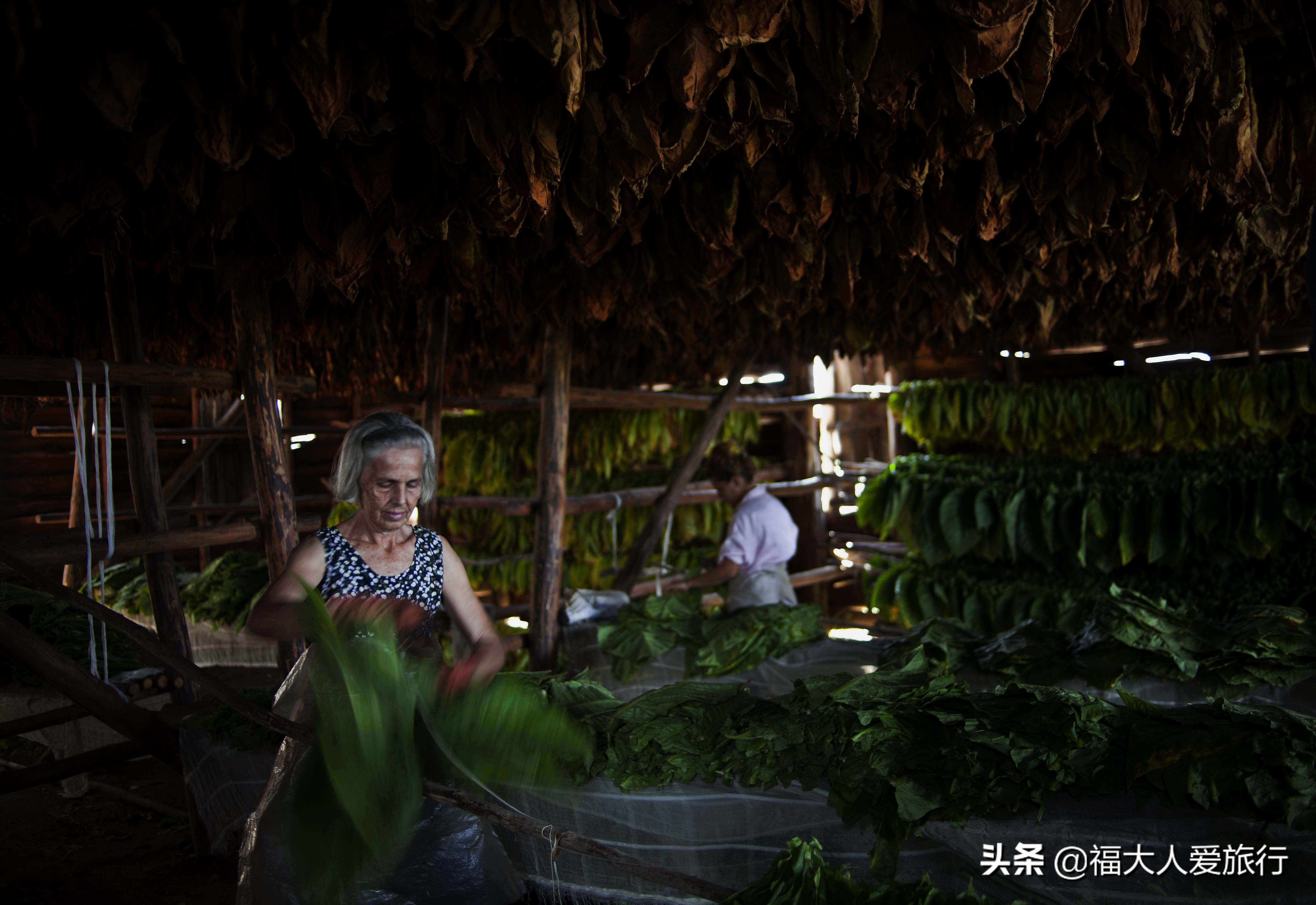 给我一支雪茄，我别无他求！探访世界顶级雪茄故乡，人人享受其中