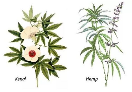 在美国大量购物回国合法吗,美国华人入境携带物品