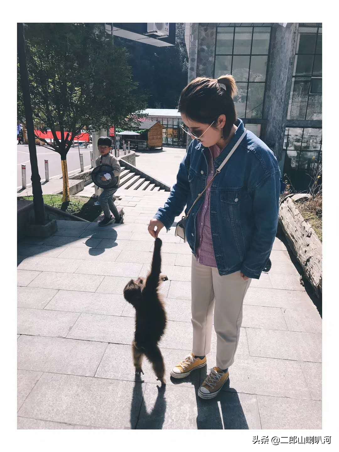 去喇叭河景区,去喇叭河玩住哪里