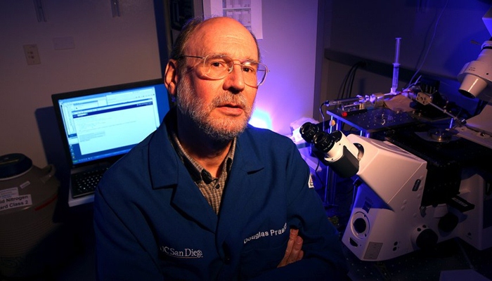 荧光蛋白发光激发,荧光蛋白在生命科学领域中的应用