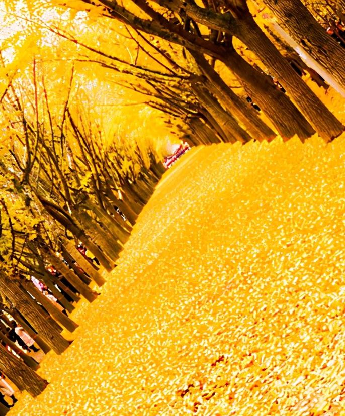 江苏省徐州市市级行政区是哪里,江苏省徐州市有哪个区