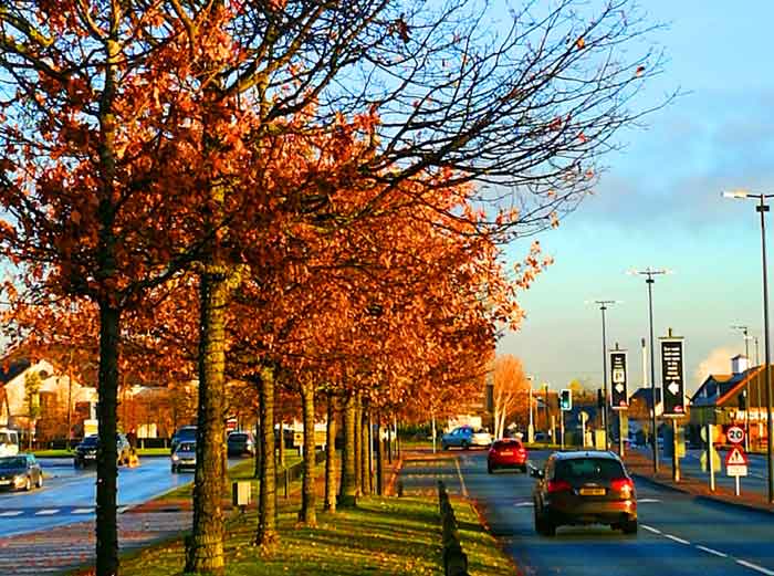 英国曼彻斯特旅游照片大全,英国铁路纪行第七季