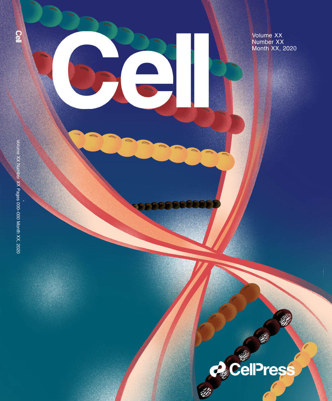 nature教你写论文,怎样快速看懂nature论文