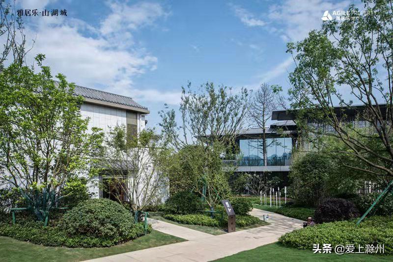 雅居乐品牌焕新,雅居乐有什么产品