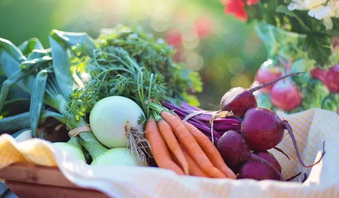 探秘！中国有机农业该如何发力（附国外优秀案例）