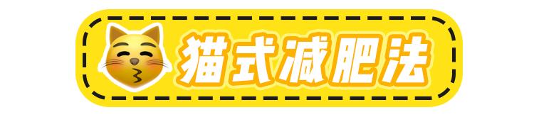 鏃ユ湰鑳栧閫嗚,鏃ユ湰鑳栧