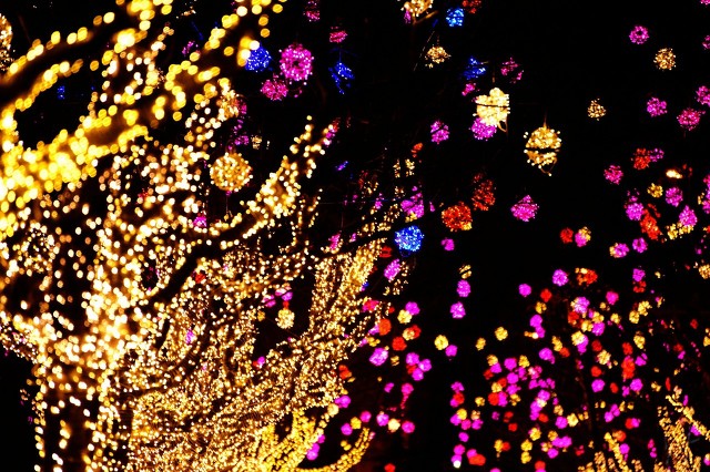 灯图片大全艺术,灯图片大全免费