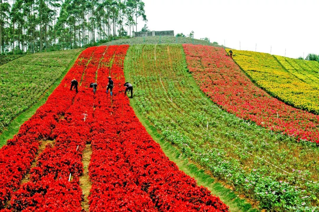 周末游玩优惠票,0元优惠票