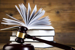 山东：E网服务全时空以后立案是这样的……