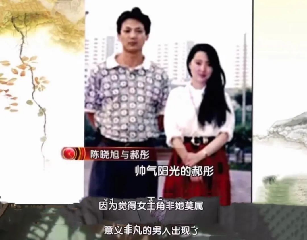 陈晓旭的一生经历,陈晓旭的一生解读