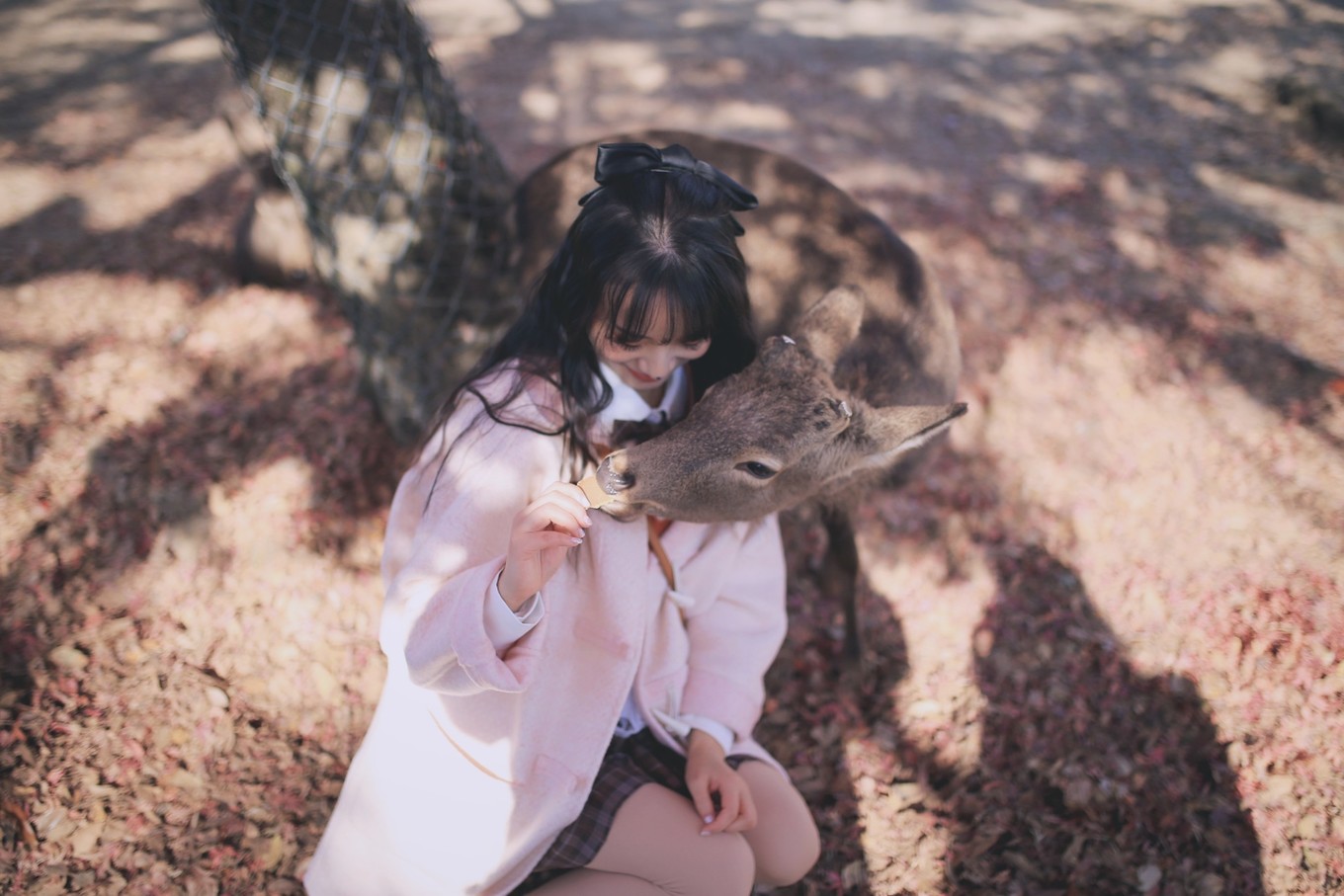 六月日本北海道风光,日本北海道几月去比较好